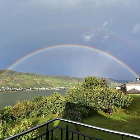 Apartment Rainer's Rheinblick Oberdiebach