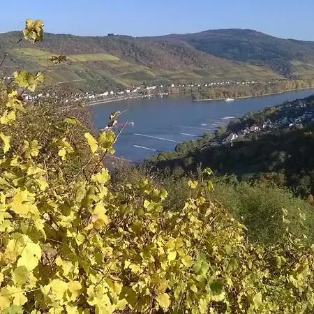 Apartment Rainer's Rheinblick *