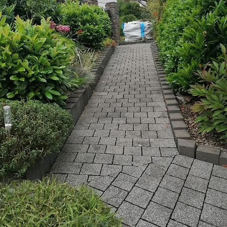 Rainer's Rheinblick *