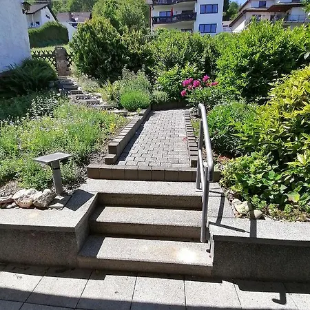 Rainer's Rheinblick Appartamento *