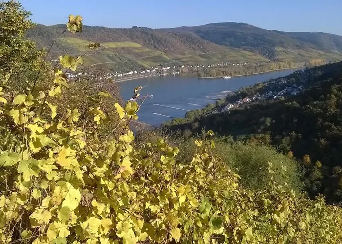 アパート Rainer's Rheinblick *